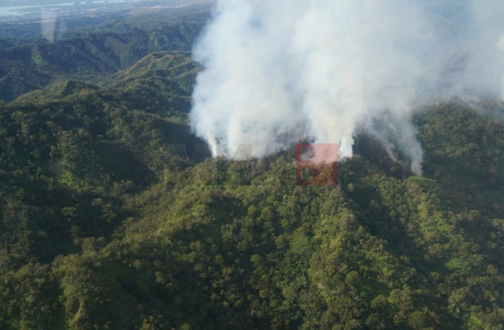 Нов пожар на Хаваите ја уништува незаменливата прашума Оаху