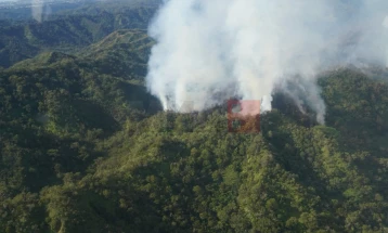 Нов пожар на Хаваите ја уништува незаменливата прашума Оаху