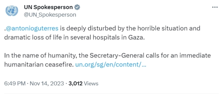 UN chief 'deeply disturbed' by Gaza hospital deaths