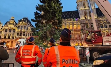 Новогодишната елка поставена на централниот плоштад во Брисел 