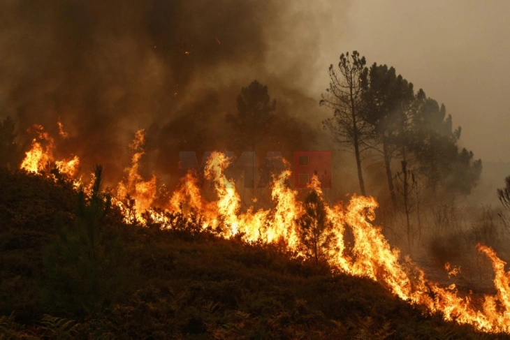 Стотици луѓе евакуирани поради шумски пожар во Кастељон во источна Шпанија