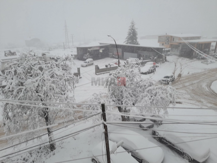 Снег во Дебарско, прекини во снабдувањето со струја