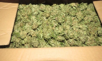 Over 550 kilograms of marijuana stolen from medical cannabis factory