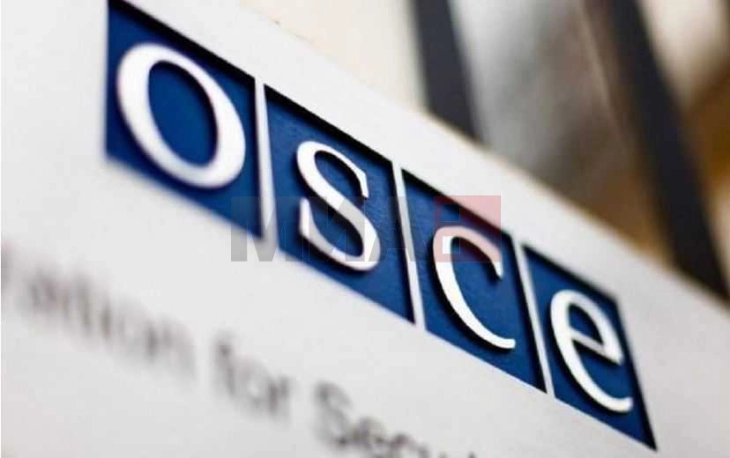 ОБСЕ го поздрави напредокот во дијалогот меѓу Белград и Приштина
