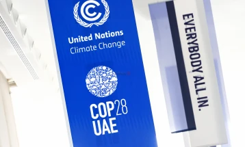 ОН ги поздравија германските ветувања на самитот на ОН за климатски промени