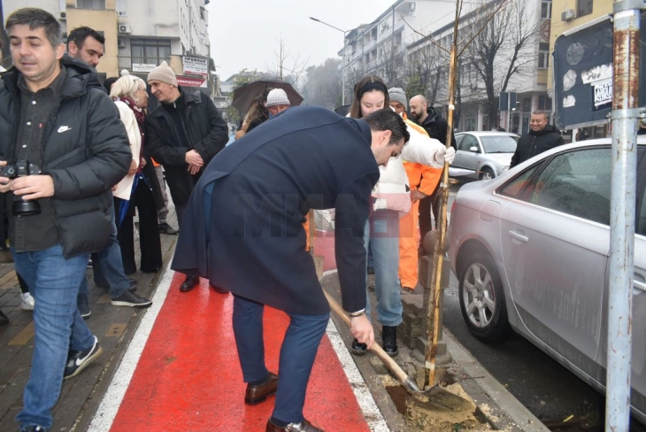 Со садење на 150 дрвца се обновуваат дрворедите на булеварите во Струмица