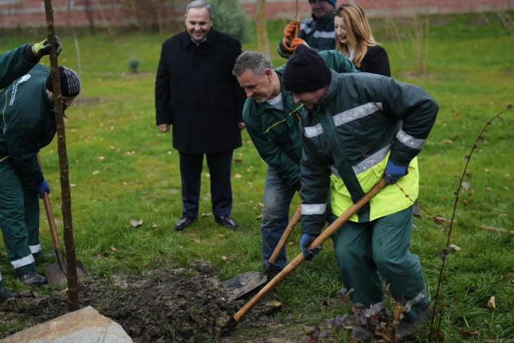 Град Скопје и УНДП во заедничка акција засадија 1500 дрвја и садници во новата Ботаничка градина во Скопје