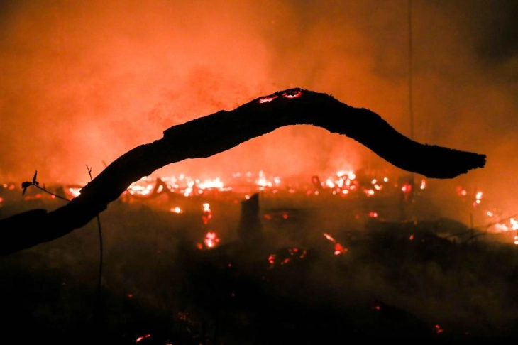 Девет лица загинаа во пожар во камп на северот на Бразил