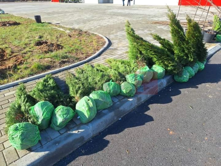 Се садат нови садници кај новиот Градски пазар во Делчево