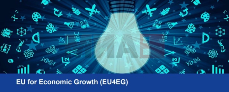 Презентација на под-грантовите активности на проектот „ЕУ за економски раст“