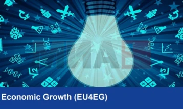 Презентација на под-грантовите активности на проектот „ЕУ за економски раст“