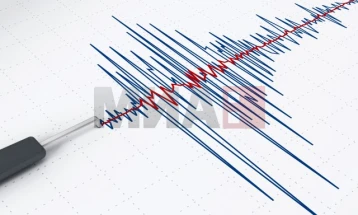 Tërmet prej 5.8 ballës sipas Rihterit ka goditur Guatemalën