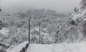 РЦУК Тетово: Се работи на расчистување на снегот од патот кон планинското село Сретково