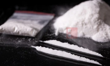 Zvicra së shpejti mund ta legalizojë kokainën