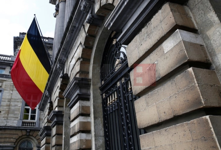 Елка висока 20 метри падна врз три лица во Белгија, една жена почина