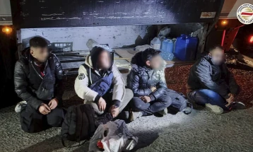 Спречен нелегален влез на 11 мигранти при царинска контрола на три камиони од Полска