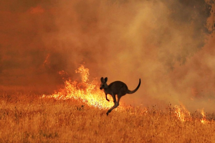 Temperaturat e larta shkaktuan zjarre në Australi, qytetarëve u bëjnë thirrje për evakuim
