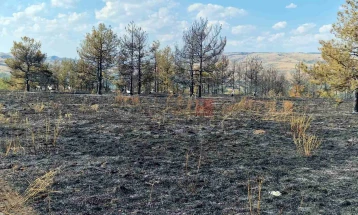 Пожари на отворено има и покрај студот, се гаселе запалени оџаци, 1.642 повика за итни случаи