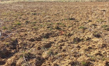 Судот на правдата на ЕУ ги укина ограничувањата за купување земјоделско земјиште во Бугарија 