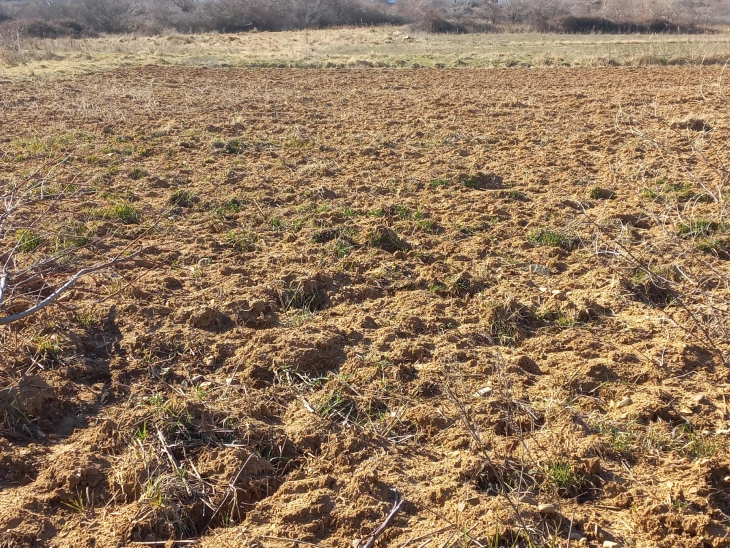 Gjykata e Drejtësisë e BE-së ka hequr kufizimet për blerje të tokës bujqësore në Bullgari
