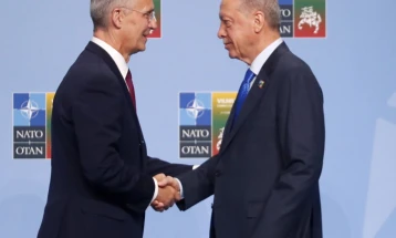 Erdogan dhe Stoltenberg biseduan për miratimin e Turqisë për pranim të Suedisë në NATO