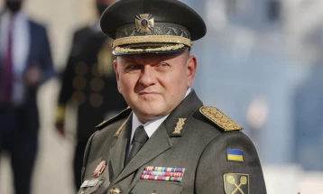 Тајмс: Зеленски се откажал од обидот да го смени генералот Залужни