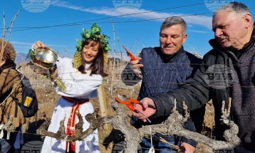 Фестивалот на боговите на виното во општина Струмјани по 31 пат ги спои традицијата, историјата, легендите и традициите