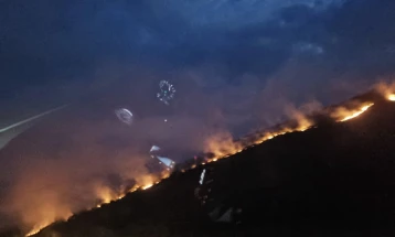 Пожар над Горно Свиларе, гори нискостеблеста вегетација
