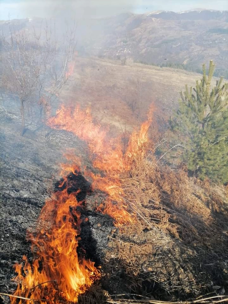 Каменичките пожарникари гаснеа пожар во атарот на селото Саса