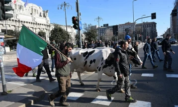 Италијанските земјоделци демонстрираат против бирократијата и евтиниот увоз