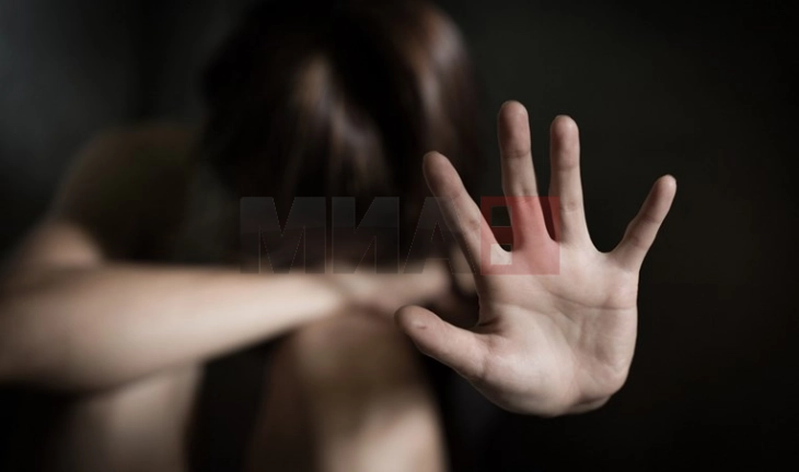 Во 2022 година евидентирани 153 кривични дела поврзани со семејно насилство во Полошкиот регион