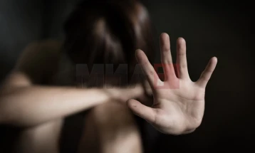 Во 2022 година евидентирани 153 кривични дела поврзани со семејно насилство во Полошкиот регион