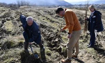 Акција на ЕСМ за засадување багремови садници кај РЕК Осломеј