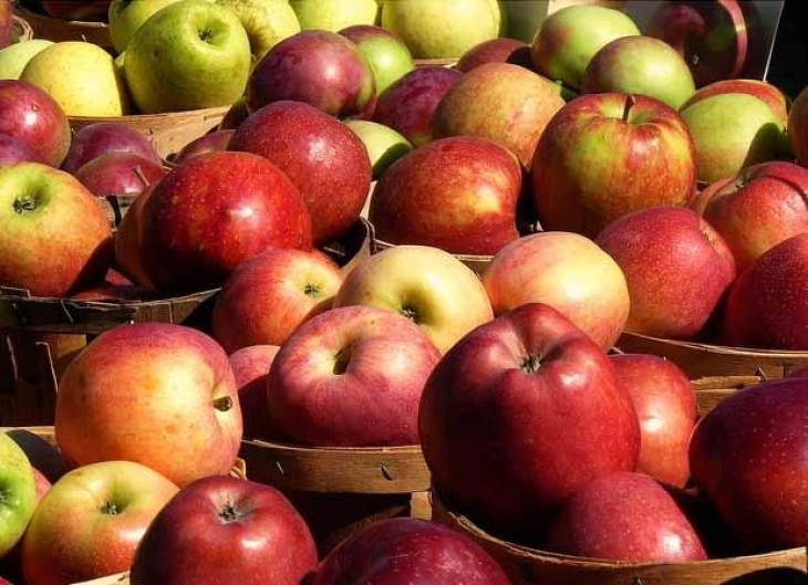 Исплатени 203,3 милиони денари дополнителна поддршка на 1 955 земјоделски стопанства за предадени јаболка