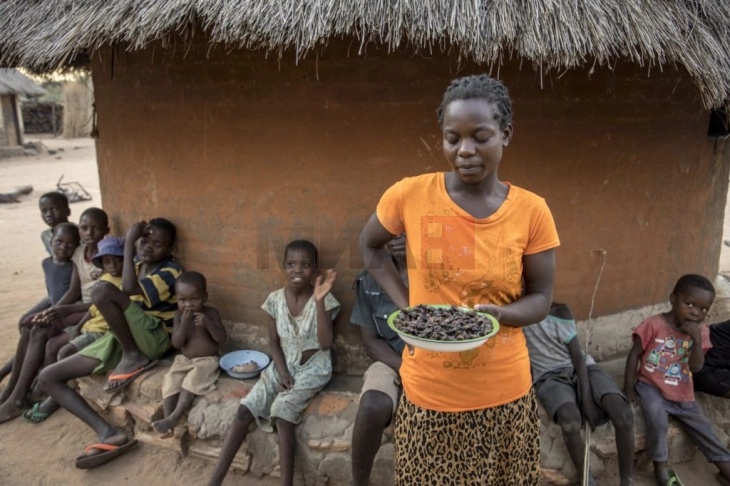 Pothuajse 10 milionë etiopianë po përballen me urinë për shkak të luftës dhe thatësirës