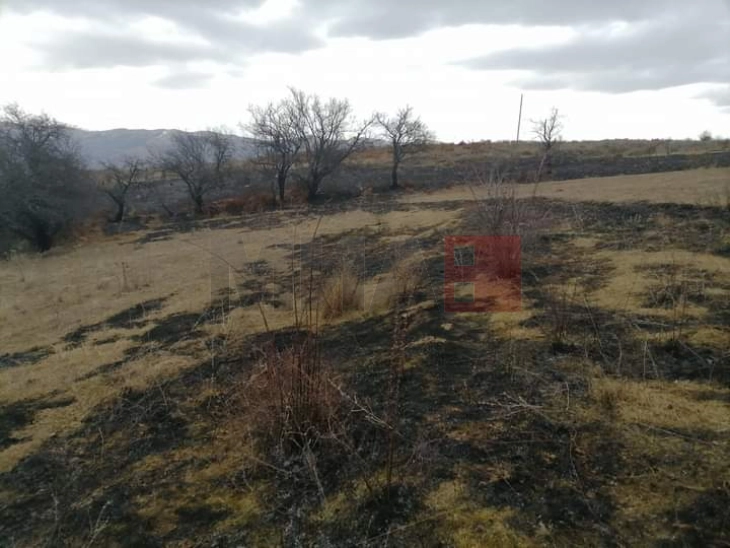 Опожарени пет хектари површина во каменичкото село Цера