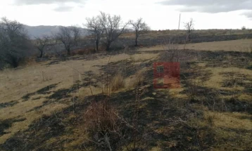 Опожарени пет хектари површина во каменичкото село Цера