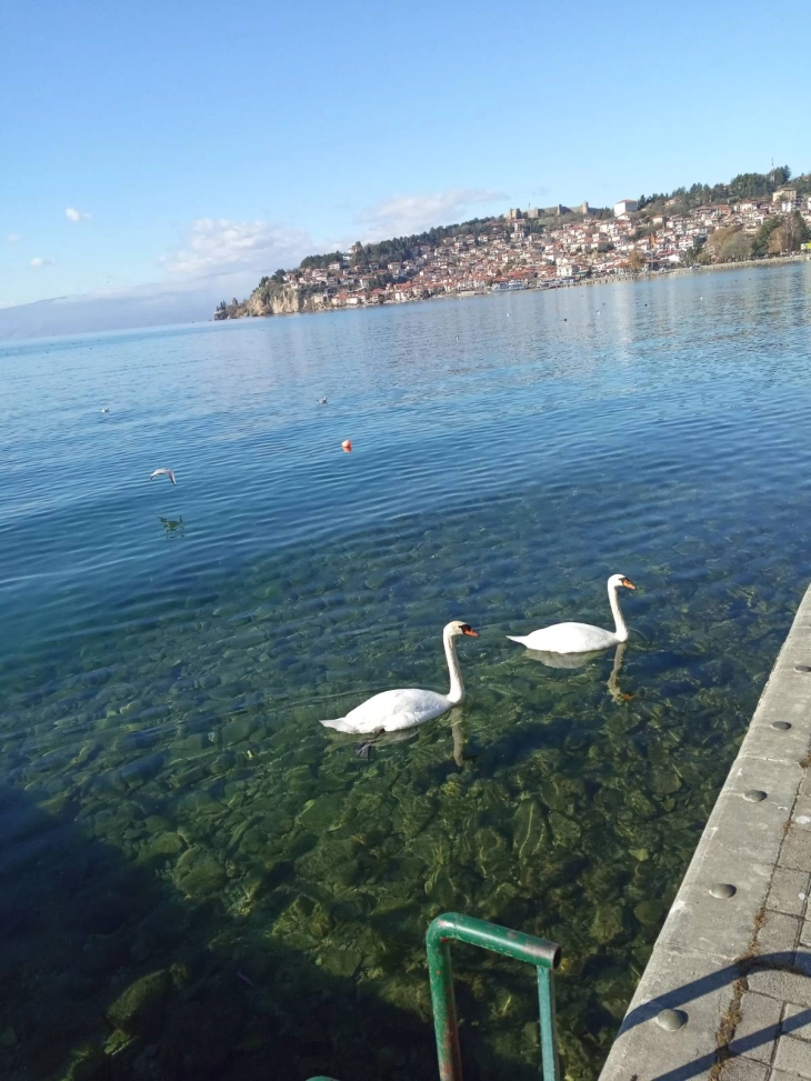 Нивото на Охридското Езеро два сантиметри под февруарскиот просек