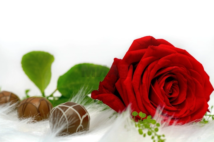 Чоколадно „цвеќе“ - како подарок за Денот на вљубените