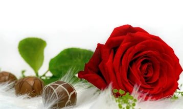 Чоколадно „цвеќе“ - како подарок за Денот на вљубените