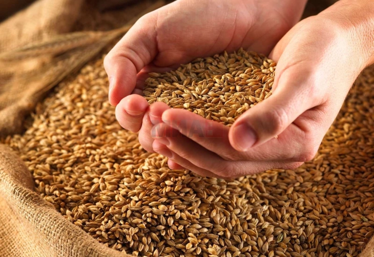Руски министер за земјоделство: Москва бесплатно испрати 200.000 тони жито на шест африкански земји