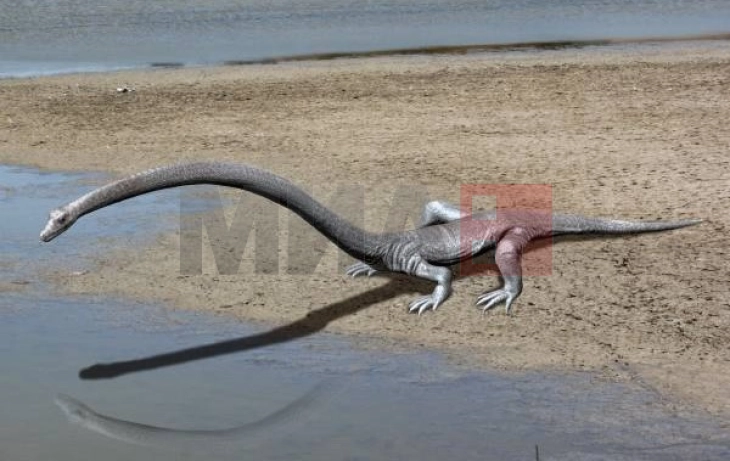 Откриен целосен фосил на подводен диносаурус во Кина