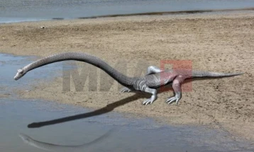 Откриен целосен фосил на подводен диносаурус во Кина