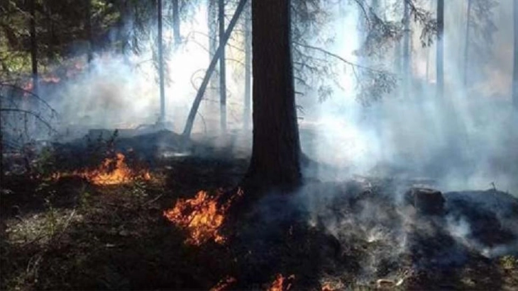 ЦУК: Изгаснат пожарот над велешкото село Мелница