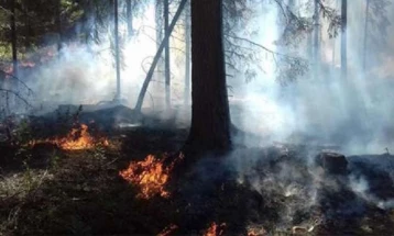 QMK: Shuhet zjarri mbi fshatin Melnicë të Velesit