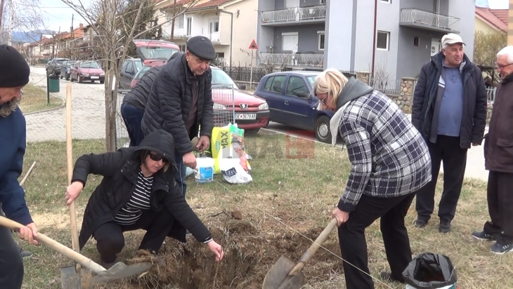 Во Делчево ќе никне Гинко парк, семејство донираше 90 садници Гинко билоба