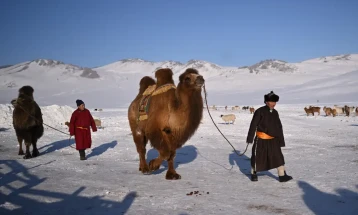 Од екстремна зима во Монголија угинаа повеќе од два милиони животни