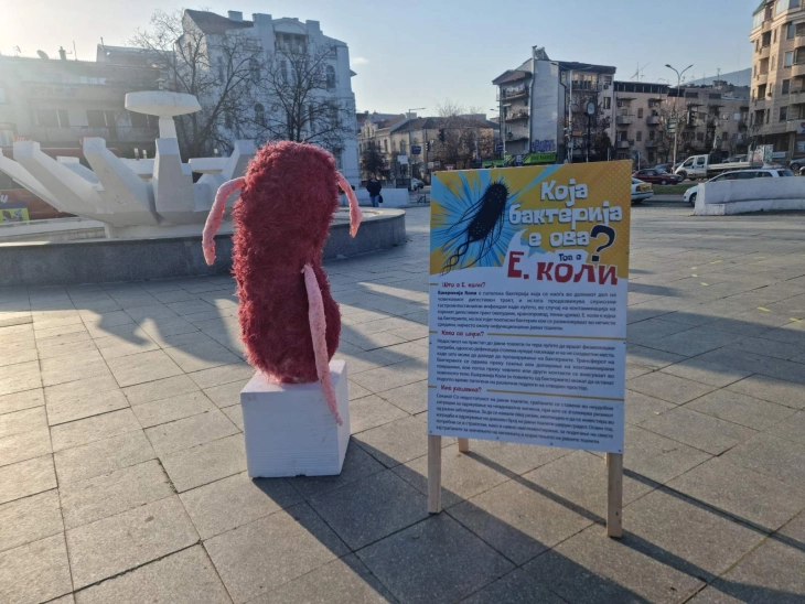 Герила акција во Скопје, Озбек Ајваз преку скулптура ја претстави бактеријата „Ешерихија коли“
