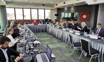 BAMIN Steering Group holds meeting in Skopje