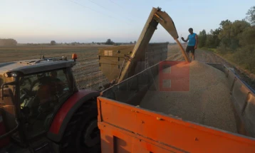 Për shkak të protestave të bujqve polak, Ukraina është e gatshme të kufizojë eksportin në BE
